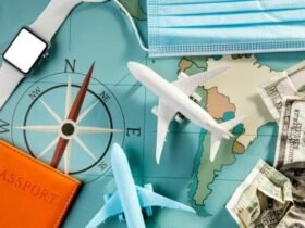 International Travel House Share Price