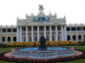 PG Admission University of Mysore