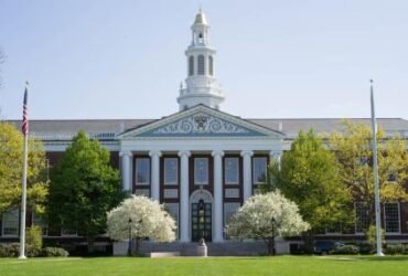 How to get mba admission in harvard university