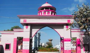 Gujarat Ayurved University