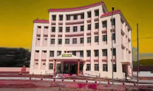 Gujarat Ayurved University